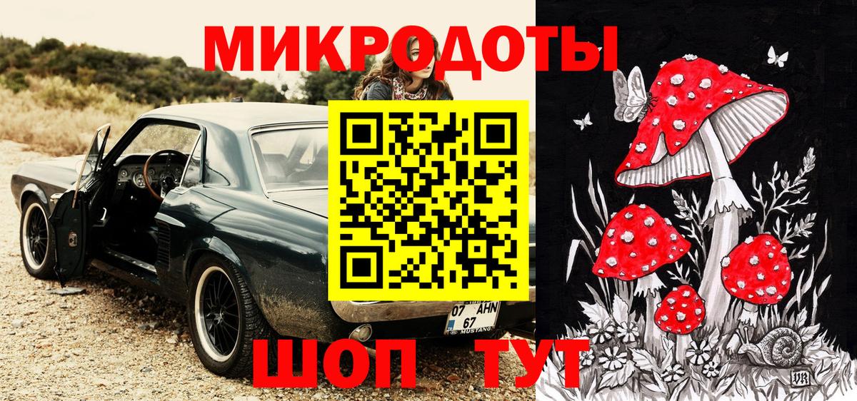 Псилоцибиновые грибы мицелий Зеленогорск